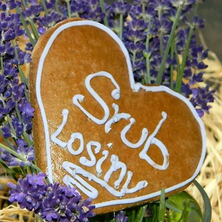 Srub Losiny *