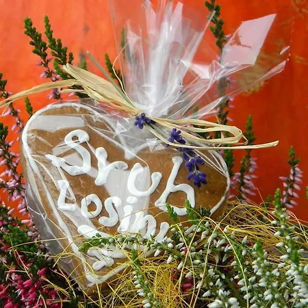 Srub Losiny Domek alpejski