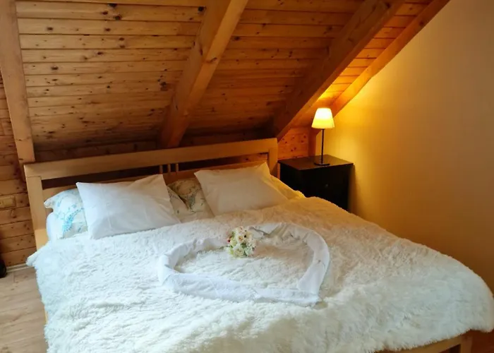 木屋 索鲁比罗西尼木屋 *